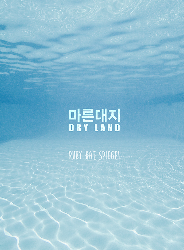 마른대지