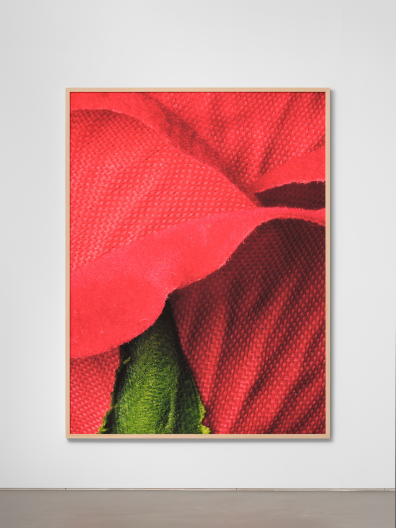 Bumping Surfaces - Rose C