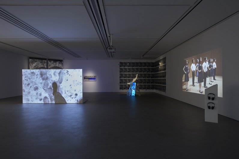 Installation view