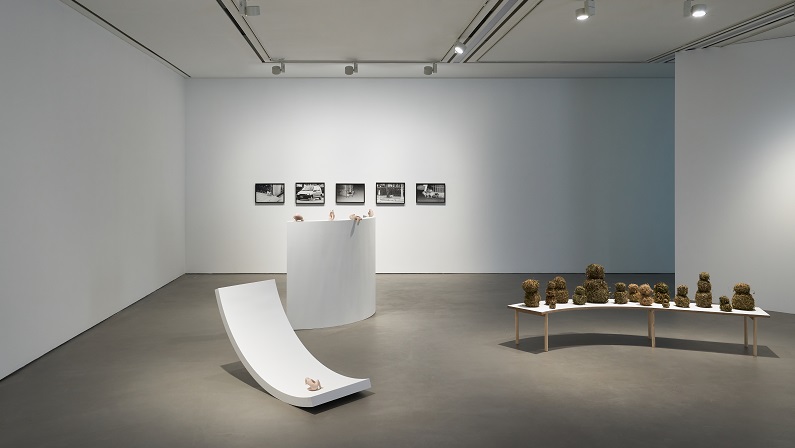 Installation view