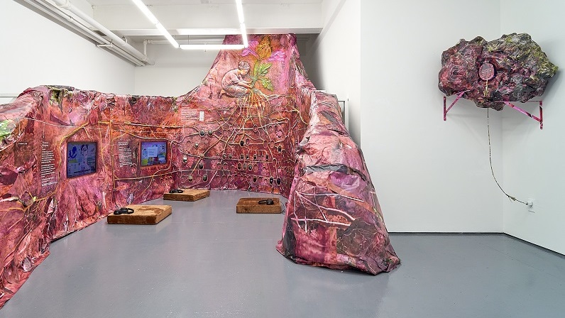 Installation view