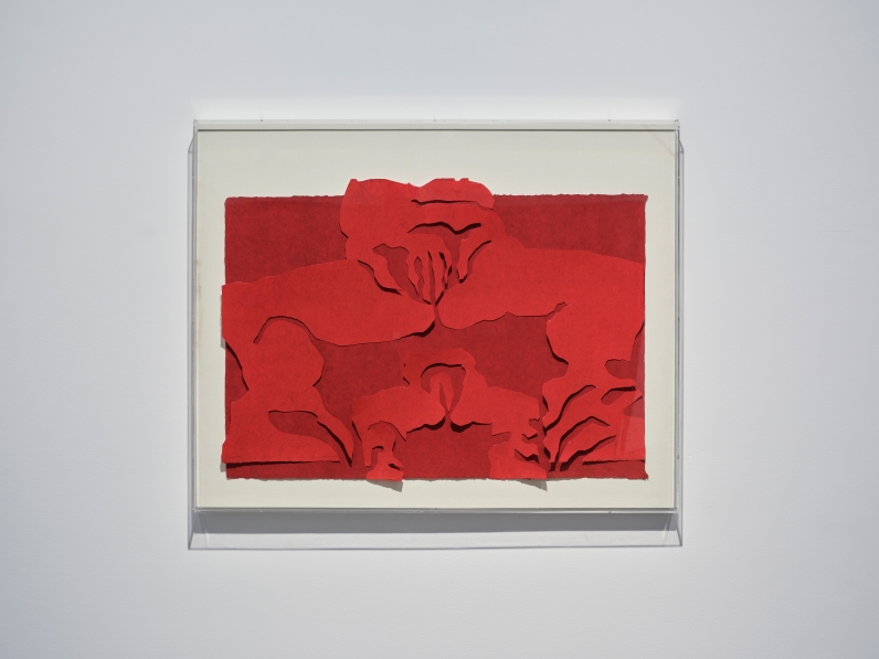 축제 23 #10 맨드라미