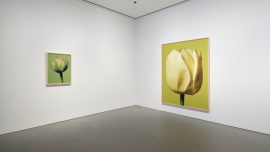 Installation view 썸네일