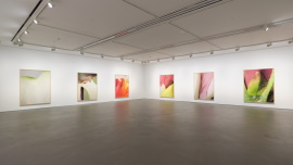 Installation view 썸네일
