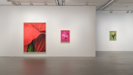 Installation view 썸네일