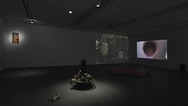 Installation View 썸네일