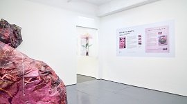 Installation view 썸네일